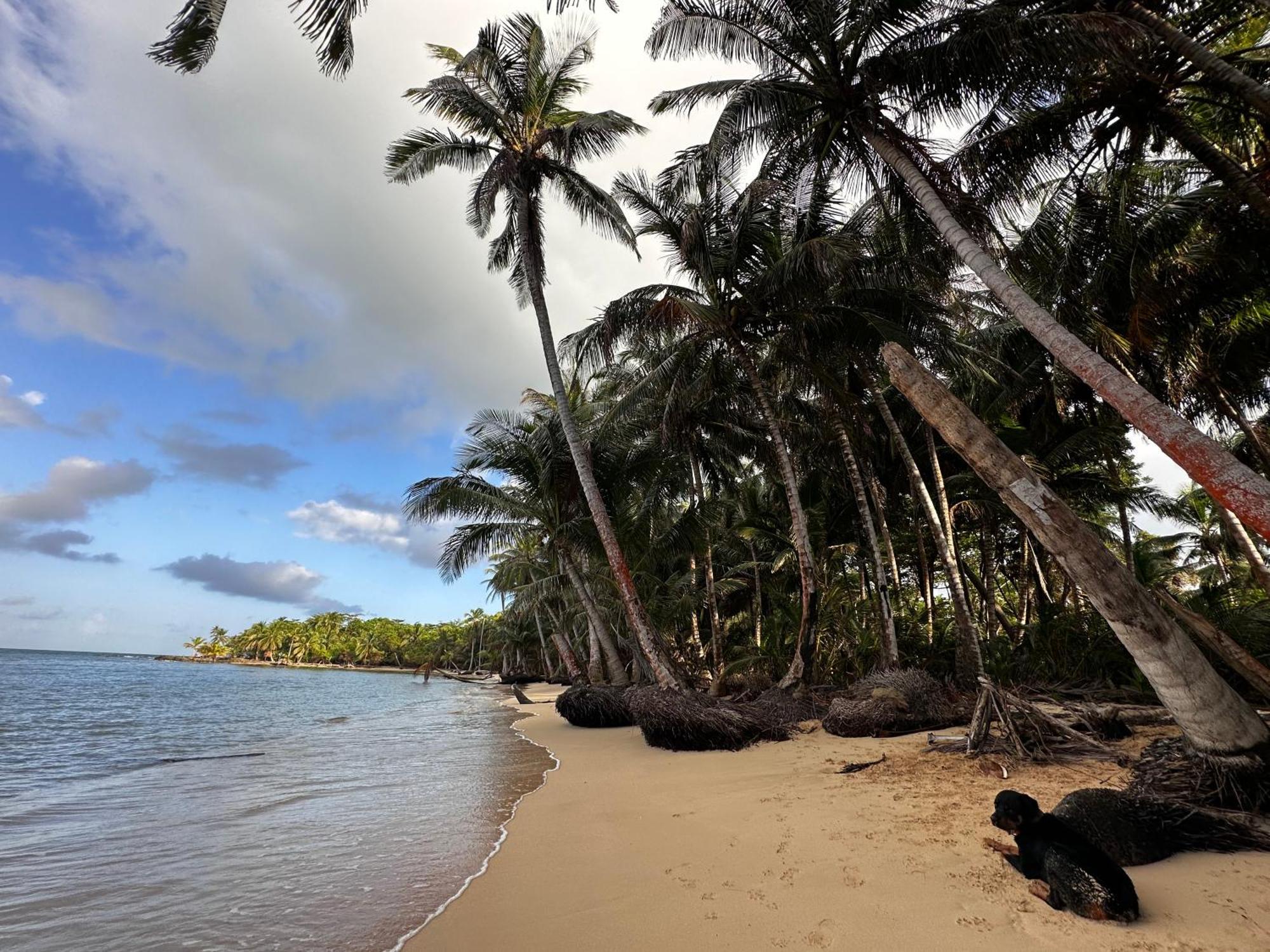 Ensuenos Natural Reserve Little Corn Island Nicaragua Eksteriør bilde